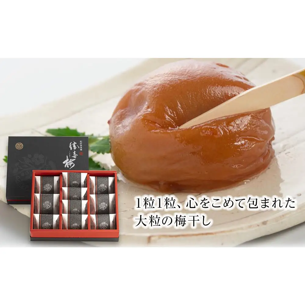 大粒の紀州南高梅 人気のはちみつ仕立て「極」10包　［SB1］