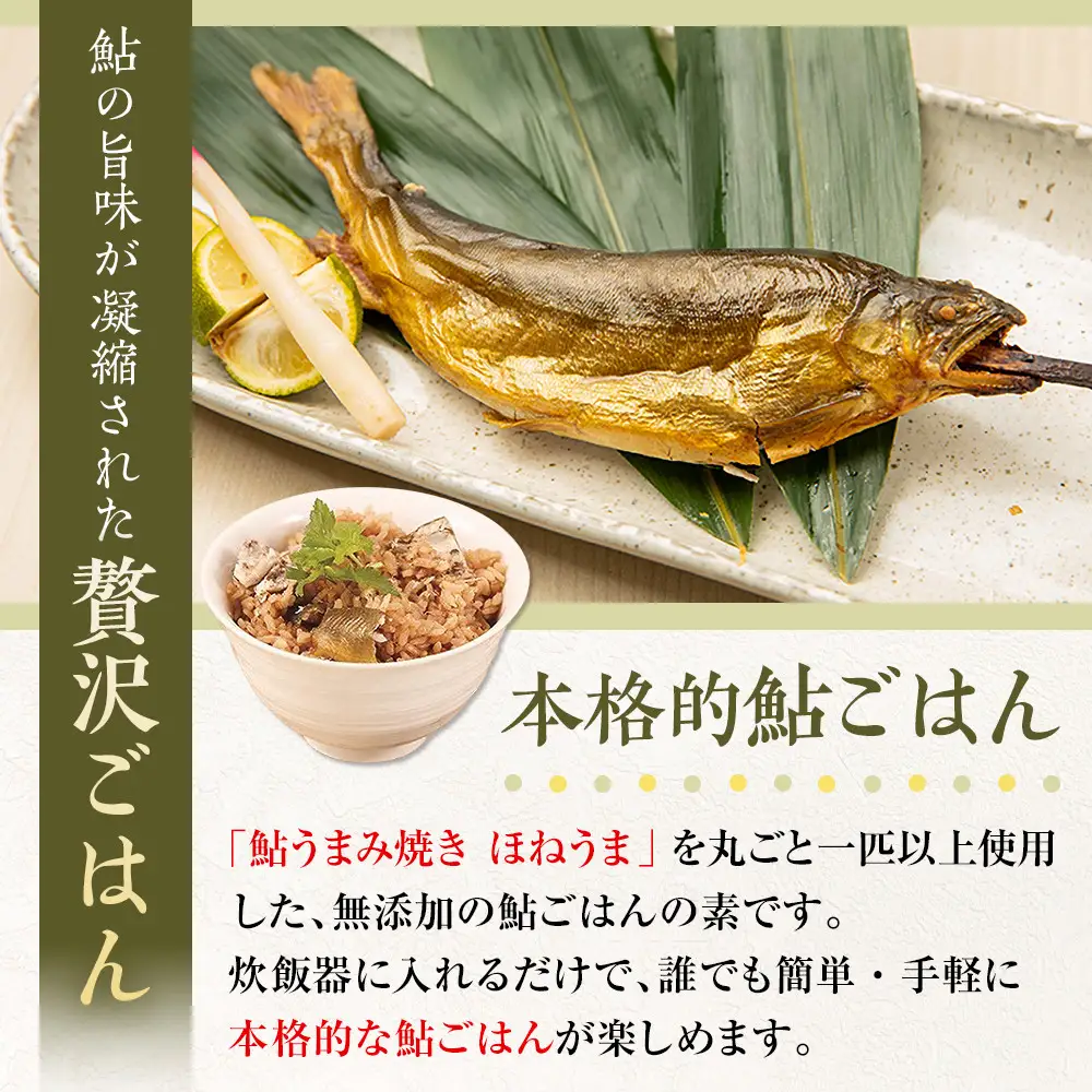 鮎まんまの素（２合用×２パック）