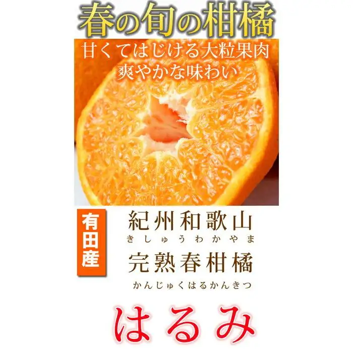 果肉ぷりぷり!完熟はるみ　５ｋｇ［2027年2月上旬頃～2027年2月下旬頃に順次発送］［UT22］