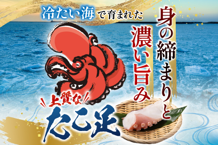 【北海道根室産】たこ足800g～1.4kg×1本 A-36051