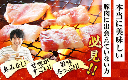 【6回定期便】五島美豚焼肉1kg（ロース500g バラ500g） 五島市/ごとう農業協同組合[PAF011] 
