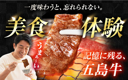 【12回定期便】五島牛焼肉700g（肩ロース300g/バラ 400g） 五島市/ごとう農業協同組合[PAF013] 冷凍 国産牛 牛肉 ブランド牛 焼き肉 セット