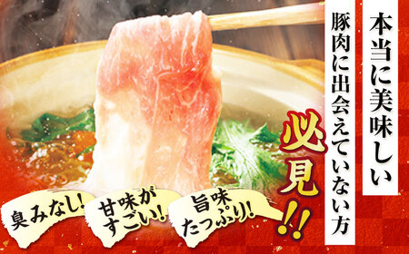 【12回定期便】五島美豚薄切り1kg（ロース500g/バラ500g） 五島市/ごとう農業協同組合[PAF016]豚肉 定期便冷凍 国産豚 豚肉 ブランド豚