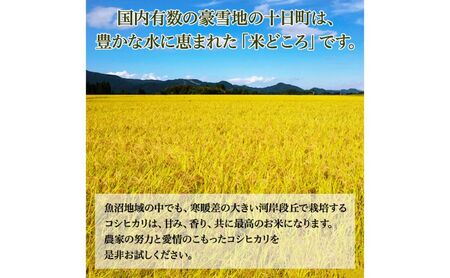 【2025年度産】魚沼産特別栽培米コシヒカリ 10kg お米 おこめ こめ 精米 白米 こしひかり 新潟 
