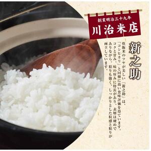 令和7年産 魚沼産 新之助 5kg 米 お米 コメ プレミアム米 新潟 魚沼 魚沼産 白米 送料無料 新潟県産 精米 産直 産地直送 契約農家 お取り寄せ 魚沼三昧 川治米店 新潟県 十日町市 大粒 甘み 
