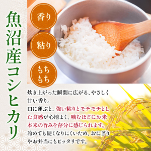 令和7年度産【十日町産】 魚沼産コシヒカリ5kg 米 お米 こしひかり 精米 新潟 