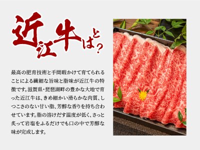 【冷蔵でお届け】近江牛すきやき・しゃぶしゃぶ用(サーロイン)400g 国産牛 4等級以上 日本三大和牛 近江牛 リブロース CO-0002