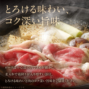 【数量限定】近江守山牛すき焼き・しゃぶしゃぶ用ロース600g （勝見牧場） AF-0020