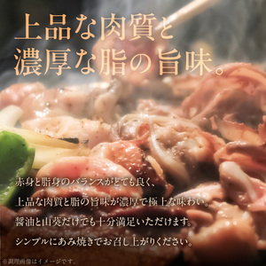 【数量限定】近江守山牛あみ焼き用ロース・モモ600g  （勝見牧場） AF-0021
