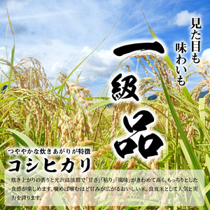 令和7年度産  近江米「コシヒカリ」 10kg  AD-0061
