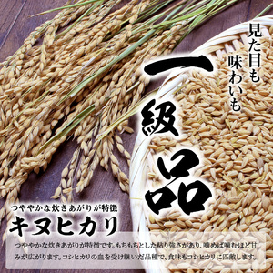 令和7年度産  近江米「キヌヒカリ」 5kg　 AD-0063