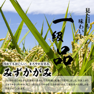令和7年度産  近江米「みずかがみ」 10kg　 AD-0067