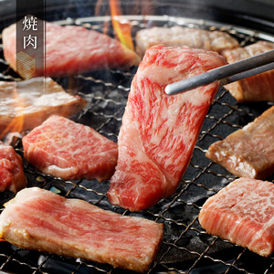 近江牛焼肉ロース、ヒレ　600ｇ 霜降り牛 産地直送  ブランド和牛 ステーキ  国産和牛 日本三大和牛 近江牛 焼肉 BBQ AK-0007