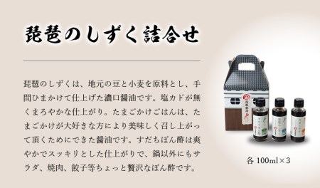 遠藤醤油 琵琶のしずく詰合せ 濃口醤油 醤油 すだちぽん酢 贈り物 贈答 調味料 家庭用 ギフト 詰合せ しょうゆ BK-0009