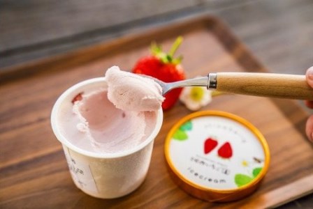 数量限定！いちご農園のアイスクリーム６個パック  完熟いちご アイス アイスクリーム 河西いちご園 完熟いちご  AM-0007