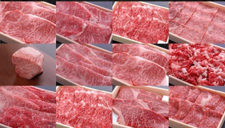 【豪華返礼品6回】近江牛プレミアム定期便  冷蔵 国産 黒毛和牛 霜降り 牛肉 牛 産地直送 ブランド牛 人気 お取り寄せ お取り寄せグルメ AJ-T004