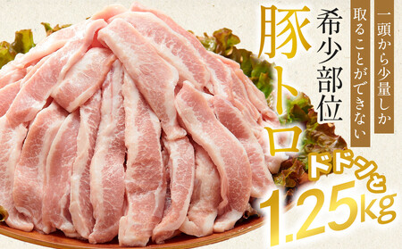 国産豚トロ 250g×5パック(1.25kg)｜豚トロ トントロ  豚肉 希少部位