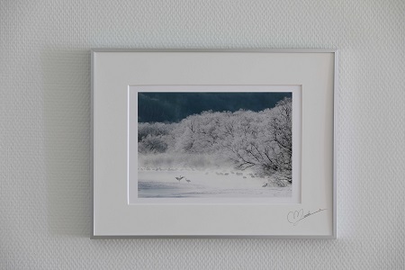 鶴居村 タンチョウ写真家 和田正宏 額付きオリジナルプリント「幻冬の朝」(サイン入り)