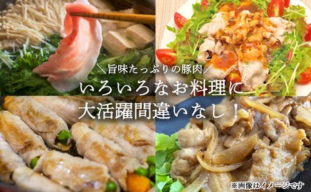 豚肉 ロース 宮崎県産 豚ロース しゃぶしゃぶ 用 500g ×3 計 1.5kg [ミヤチク 宮崎県 美郷町 31au0101]