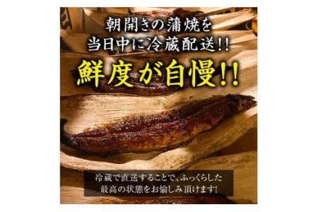 国産うなぎ蒲焼き (2匹) [0851]