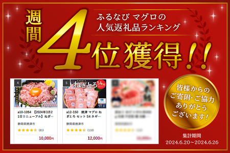 a10-1054　ねぎとろ100g14Ｐ