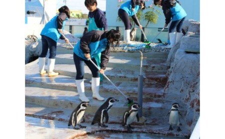 【数量限定】南知多ビーチランド飼育係一日体験◇