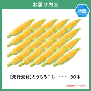【2026年先行予約】照之家商店 鮮度抜群とうもろこし30本 北海道産トウモロコシ