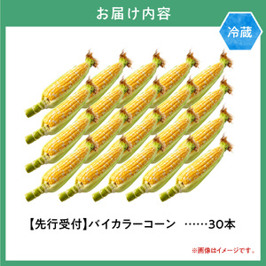 【2026年先行予約】照之家商店 鮮度抜群 とうもろこし「黄色と白粒のバイカラーコーン」30本| 北海道とうもろこし とうきび
