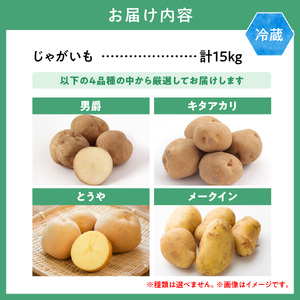 【2025年先行予約】森本農園じゃがいも15kgセット | じゃがいも ジャガイモ 男爵じゃがいも キタアカリ とうや メークイン じゃがいも
