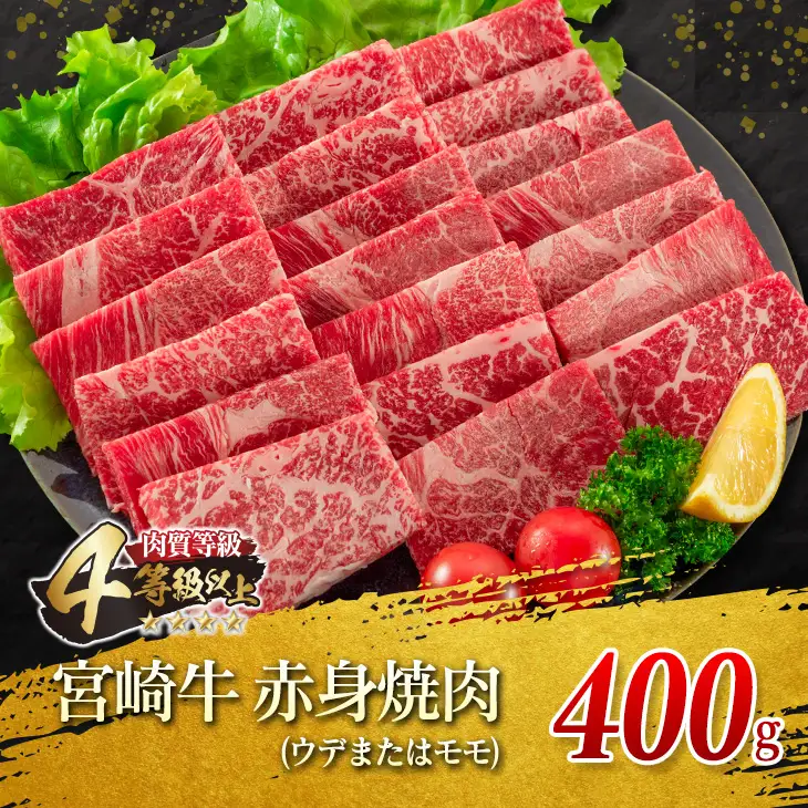 宮崎牛 赤身 焼肉 黒毛和牛 小間切れ セット 合計800g 牛肉 ビーフ 国産 うで もも ブランド牛 人気 おすすめ 万能食材 食品 お取り寄せ グルメ 詰め合わせ 贅沢 ご褒美 お祝い 記念日 おかず 弁当 おつまみ BBQ 鉄板焼き おすそ分け 宮崎県 日南市 送料無料_DA20-23