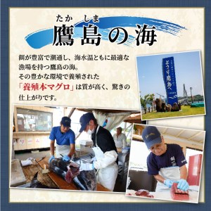 鷹島産本まぐろ定期便（1本分）( マグロ まぐろ 本マグロ 本まぐろ 鮪 赤身 中トロ 冷凍 刺身 刺し身 海鮮 海の幸 魚 魚介 九州 長崎 松浦市 )【T00-001】
