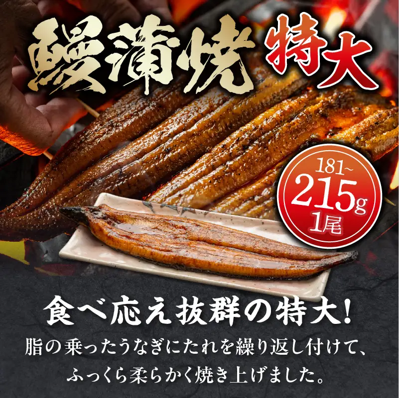 うなぎ 蒲焼 うなぎ[国産 1尾 きざみ付]