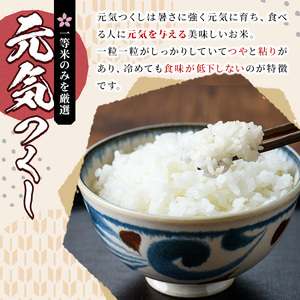 《無洗米》福岡県産ブランド米「元気つくし」(計20kg・5kg×4袋) 無洗米 米 お米 おこめ ごはん げんきつくし ご飯 常温 福岡県産 ブランド米 常温 常温保存 おにぎり おむすび お弁当 ライス【朝ごはん本舗】as05-059