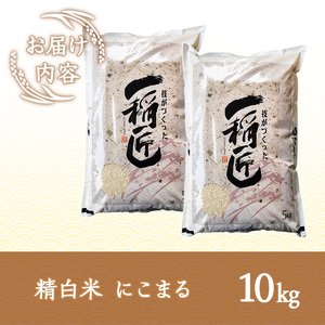 ≪令和7年産≫福岡県産 にこまる 白米(計10kg・5kg×2袋) 白米 米 お米 おこめ ごはん にこまる ご飯 常温 福岡県産 ブランド米 常温 常温保存 as32-001