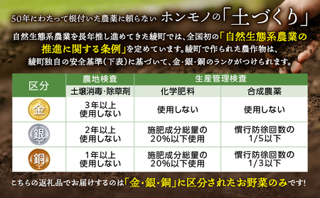 【日時指定OK】本日のお野菜セット （小サイズ/約8～10種） / 野菜 有機栽培 産地直送 新鮮 旬 詰め合わせ 宮崎県綾町_A0053-001