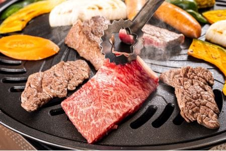 綾牛 焼肉 セット 450g バーベキュー 赤身 モモ バラ ロース A4A5等級 黒毛和牛 希少 牛肉 宮崎県 送料無料_0013-017