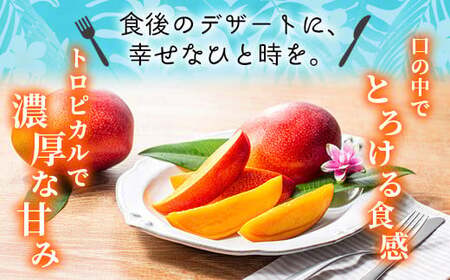【先行予約/数量限定】完熟マンゴー ３L×２玉（化粧箱）【宮崎県産 高級 果物 フルーツ 濃厚 ギフト のし 熨斗 贈答 完熟マンゴー マンゴー 送料無料】【JA綾町】_A0114-235