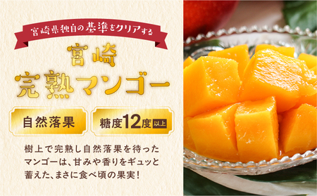 【先行予約/数量限定】完熟マンゴー ２L×２玉（パック）/ 宮崎県産 マンゴー【JA綾町】_A0114-1021