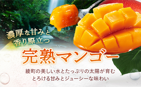 【先行予約】希少 完熟マンゴー＆生ライチセット / 宮崎県産 ライチ マンゴー【JA綾町】_A0114-2091