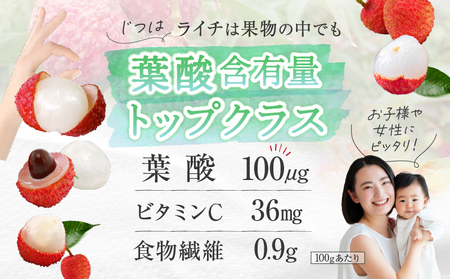 【先行予約】希少 綾生ライチ（化粧箱入り） / 宮崎県産 ライチ 国産【JA綾町】_A0114-1041