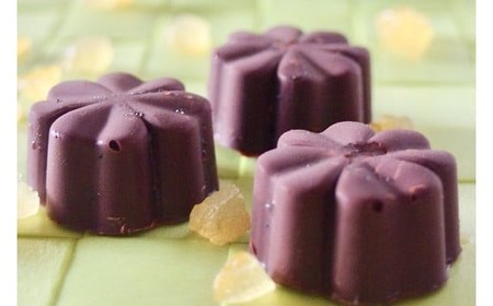 白砂糖不使用オーガニックチョコ100％使用ミニチョコセット＜15個入り＞_0021-042