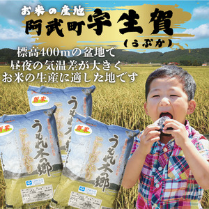 令和7年産 阿武町 「 うもれ木の郷 」 こしひかり 2kg×3袋 【 エコやまぐち認証 】 