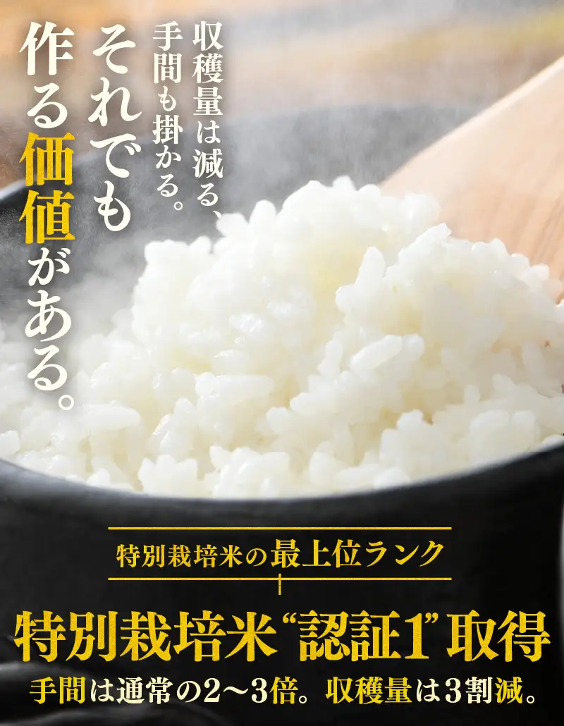 【先行予約】【令和8年産 新米】定期便《3ヶ月連続お届け》コシヒカリ 精米 5kg （計15kg）特別栽培米 農薬不使用 化学肥料不使用 ／ 残留農薬ゼロ 高品質 鮮度抜群 福井県産 ブランド米 白米 ※2026年10月上旬以降順次発送 [aw063-d005]