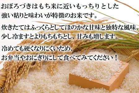 令和7年度産 北海道米 おぼろづき 白米 5kg 北海道 新ひだか町