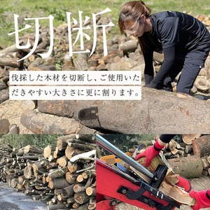 広葉樹 の ミックス 乾燥 薪 (約20kg) キャンプ アウトドア 【薪屋 薪の助】A303-v03
