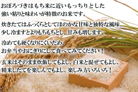 令和7年度産 北海道米 おぼろづき 玄米 5kg 北海道 新ひだか町