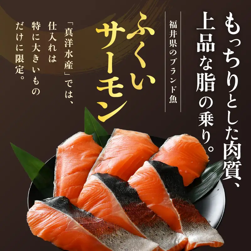 《定期便3回》ふくいサーモン 切り身 100g×6切 計600g＜鮮度抜群！＞ ／サーモン 鮭 [aw002-f002]