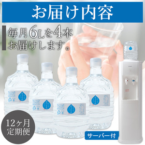 四国カルスト天然水ぞっこん 定期便（毎月6L×4本 1年間）レンタルウォーターサーバー付 NZS0014