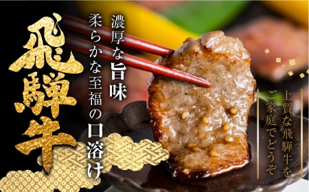 飛騨牛うでorもも焼肉 300g 焼き肉 BBQ 国産牛 国産 牛肉 肉 厳選 熟成 贈答用［Q1147］