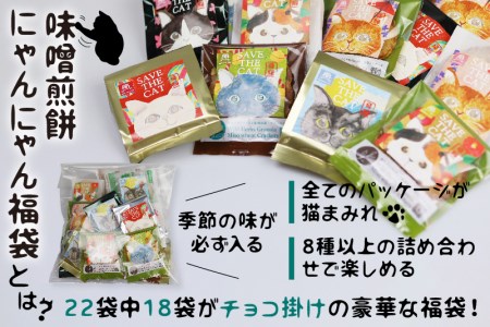 【ふるさと納税】ネコ尽くしにゃんにゃん味噌煎餅22袋セット 味噌煎餅  詰め合わせ 22袋 せんべい チョコ 味噌 生姜 酒かす 珈琲 えごま グラノーラ さつまいも トマト キャラメル ナッツ スイーツ (SAVE THE CAT HIDA支援) 10000円［neko_j_25］